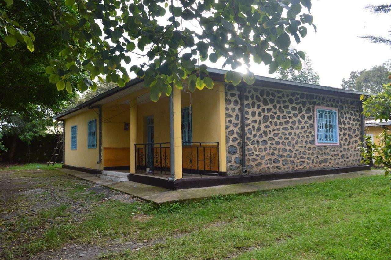 Chef Wondim Backpackers Hostel Gonder Ngoại thất bức ảnh